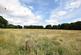 Additional image 10 of Byng Crescent, Thorpe-le-Soken, Essex, CO16 0JA