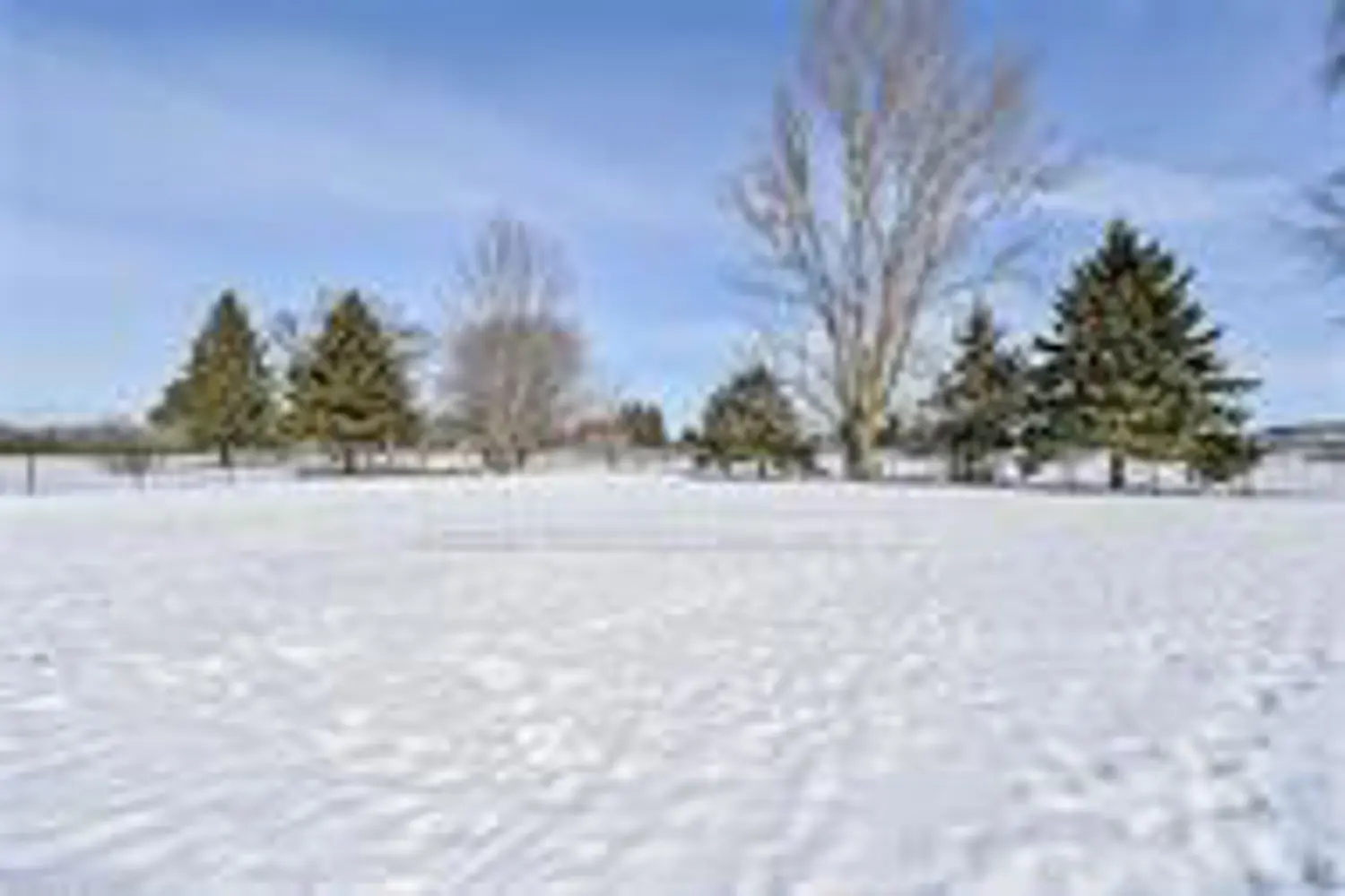 Additional image 14 of 1654 Mcdowell Road