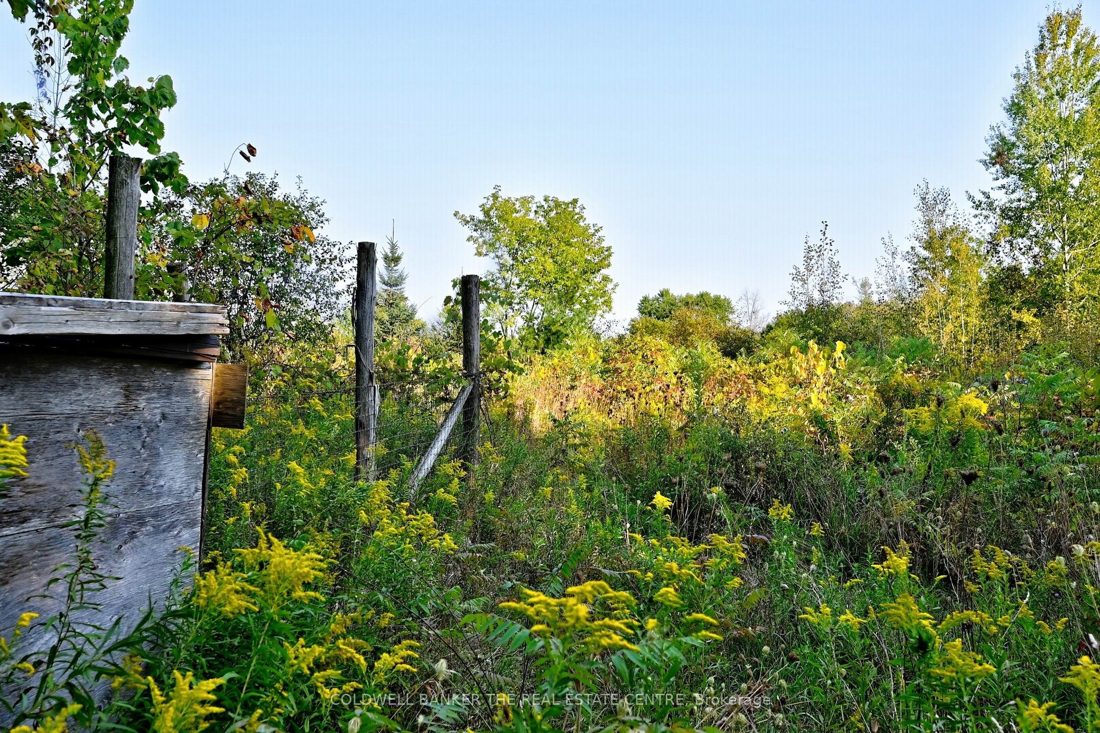 Additional image 6 of 20805 Brock Road, Brock, ON, L0E 1E0