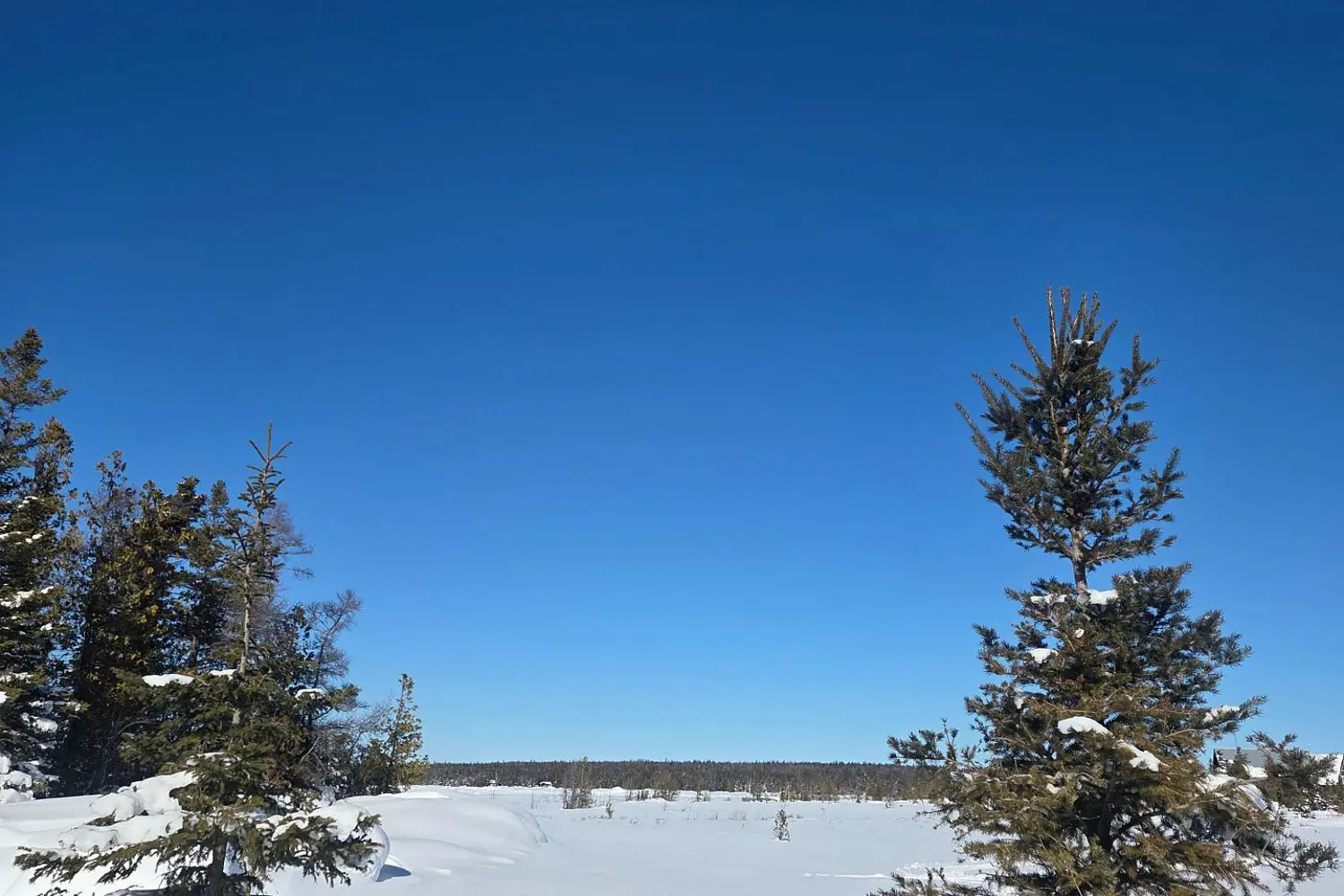Additional image 17 of 62 Cape Hurd Road, Northern Bruce Peninsula