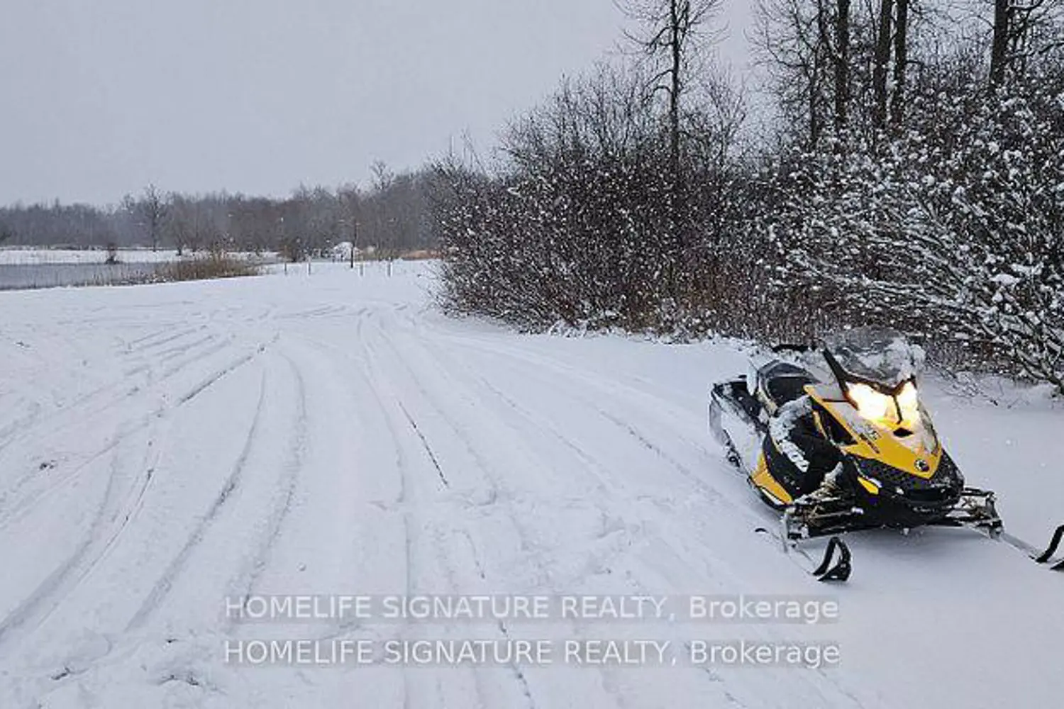 Additional image 19 of 375721 6Th Line