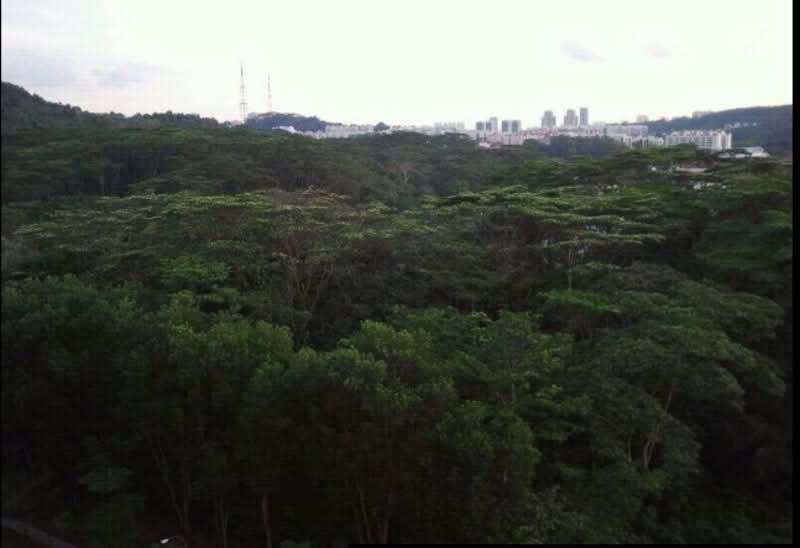 Additional image 9 of 63 Chestnut Avenue