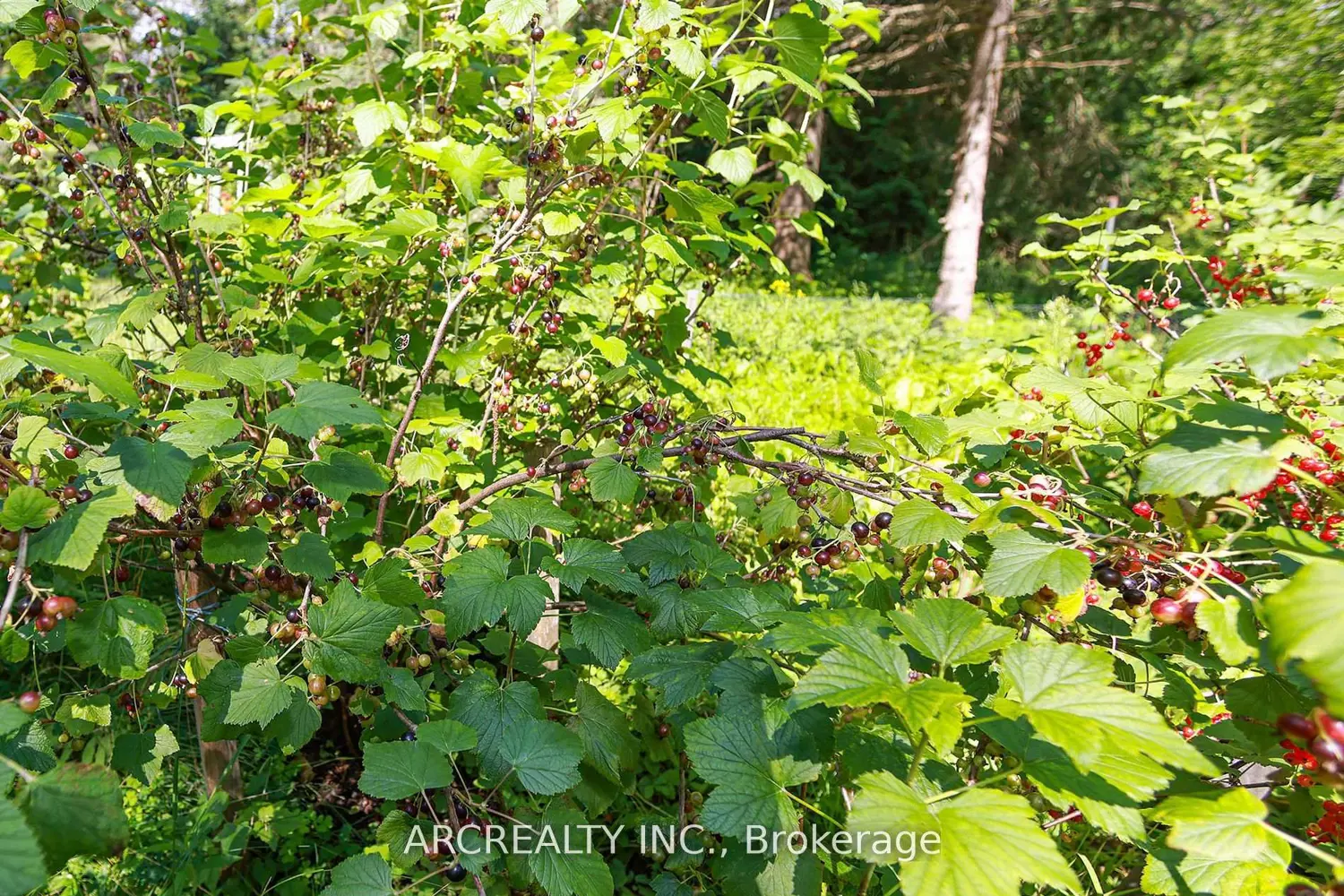 Additional image 14 of 4400 Lloydtown-Aurora Road