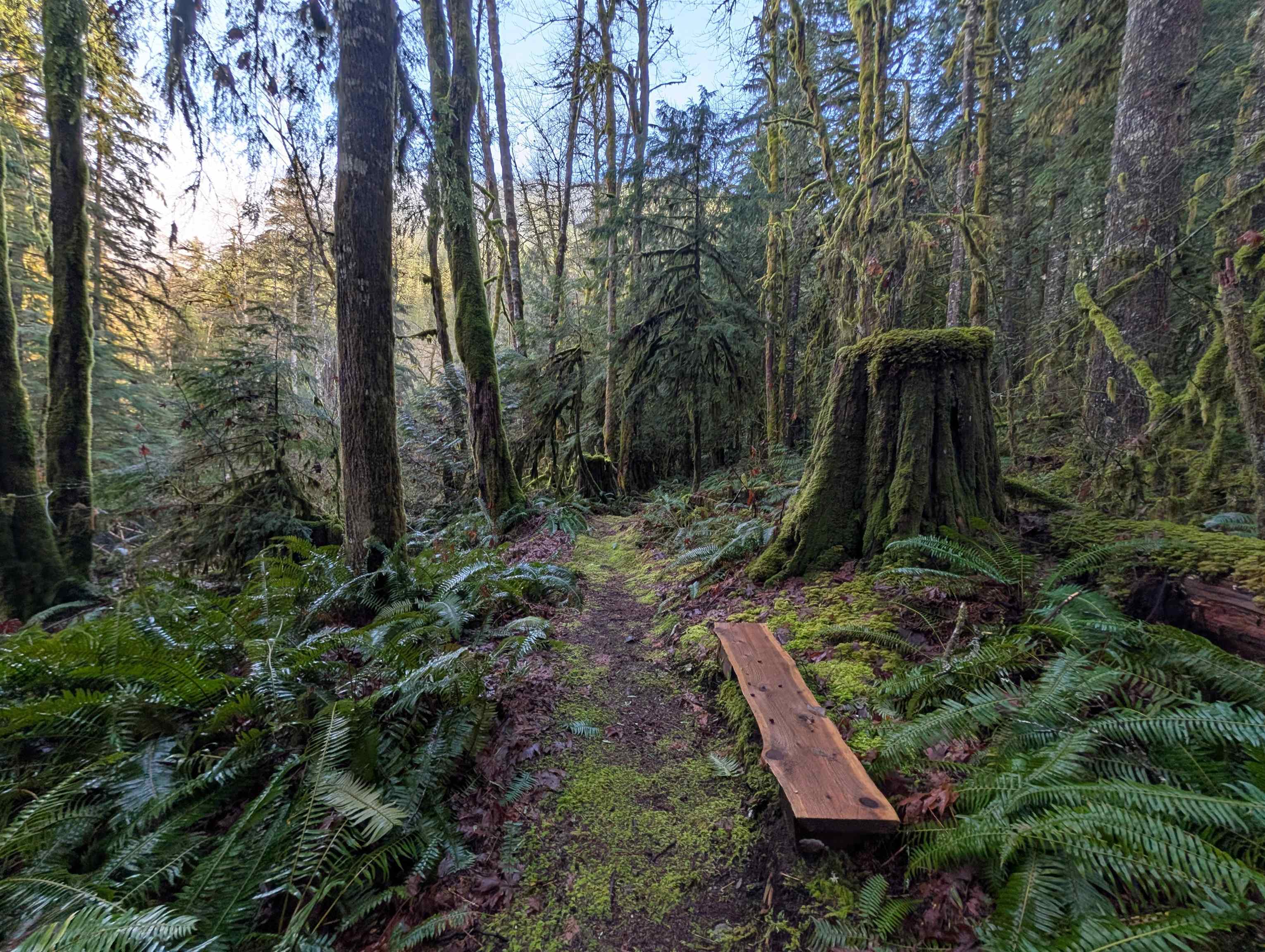 Additional image 4 of 2045 Rustad Road N, Squamish, BC, V0N 3G0