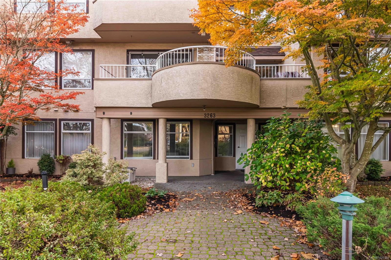 Additional image 4 of 104-3263 Alder Street, Victoria, BC, V8X 1P3