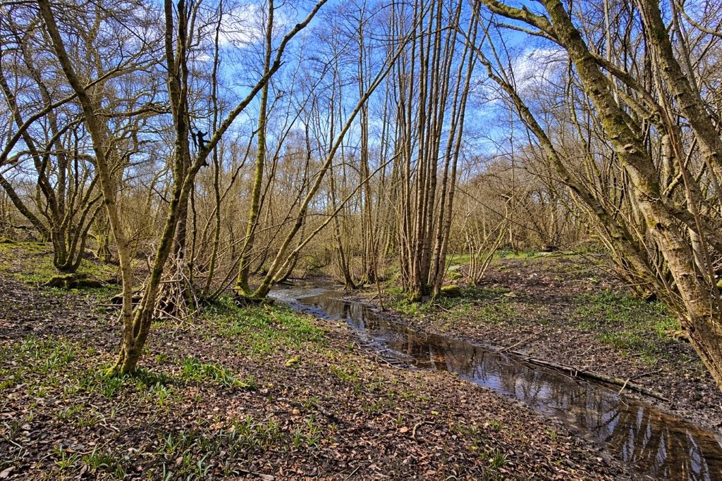 Additional image 3 of Land for saleLand Opposite 250 Holtye Road, East Grinstead, West Sussex RH19