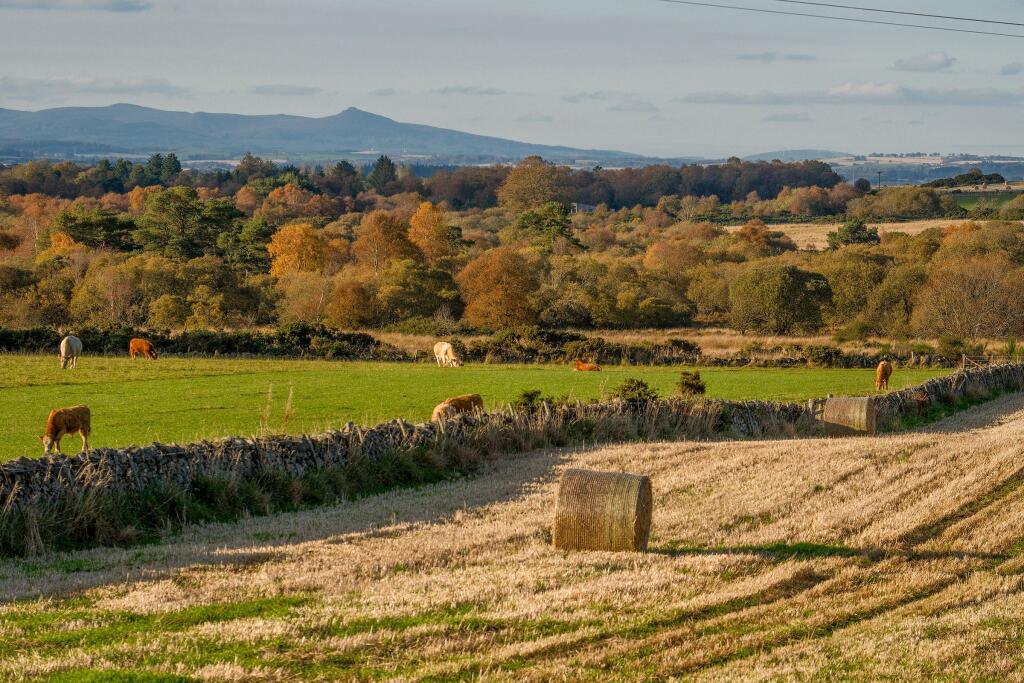 Additional image 42 of Cookney Lodge, Netherley, Stonehaven
