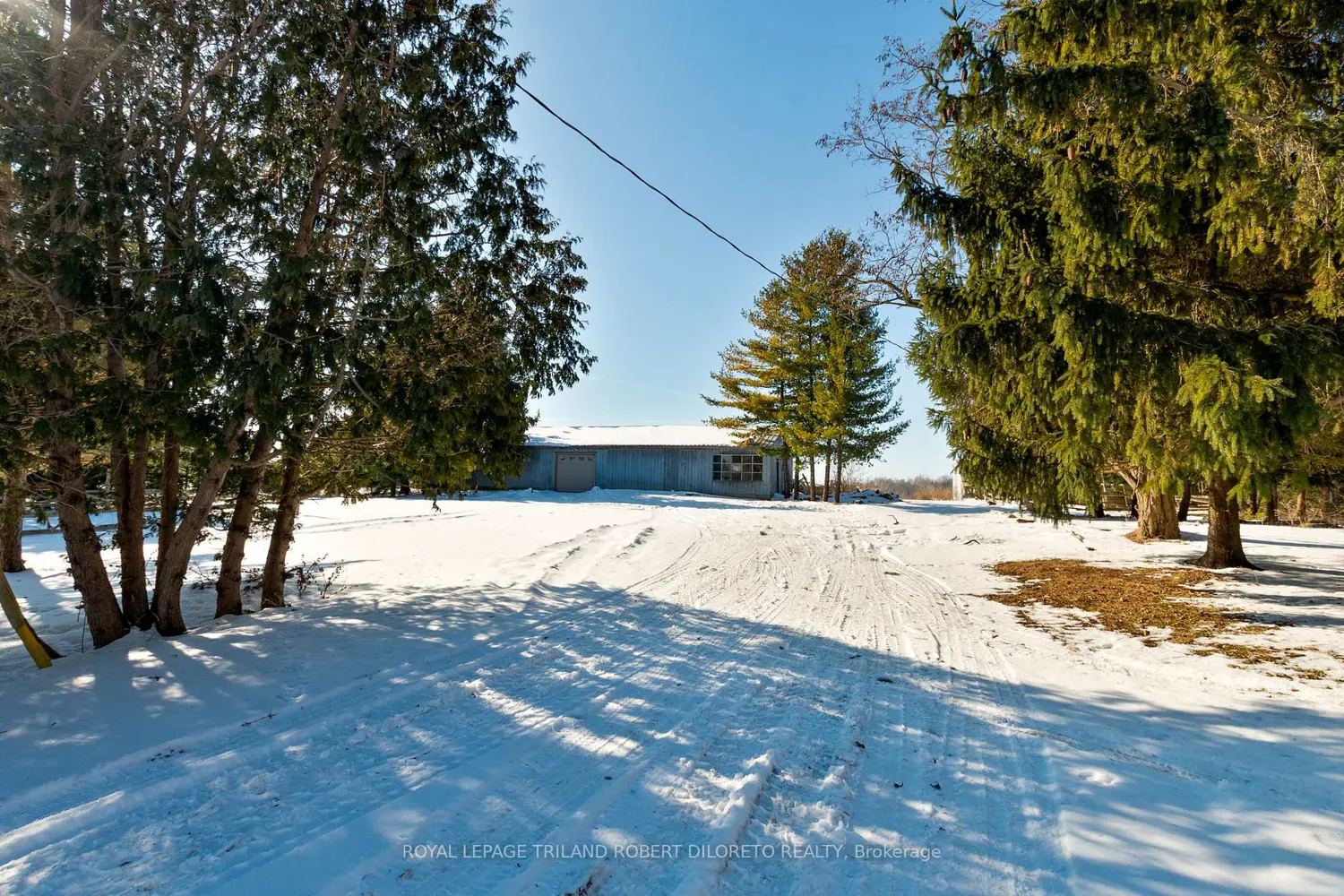 Additional image 14 of 21477 Springfield Road