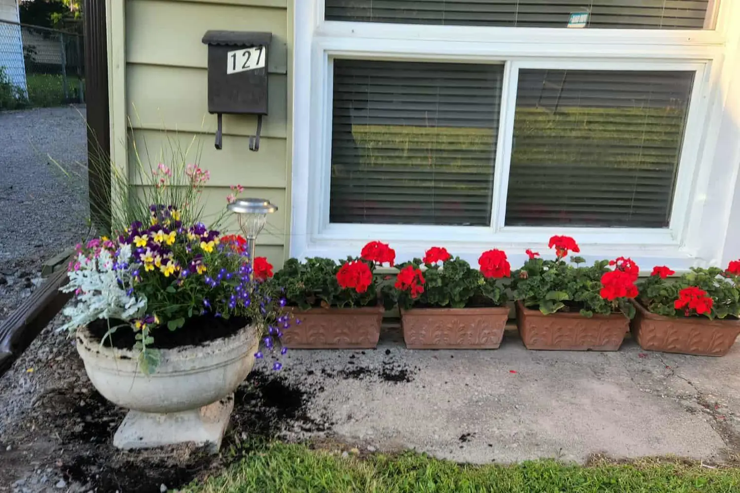 Additional image 3 of 127 Leopold Street