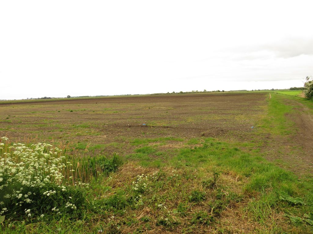 Additional image 5 of Land for saleFodder Fen Road, Manea, March PE15