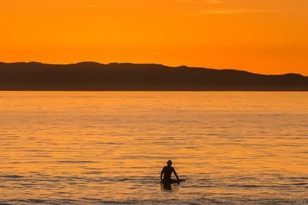 Additional image 66 of 1808 W Balboa Blvd Unit B, Newport Beach, CA 92663