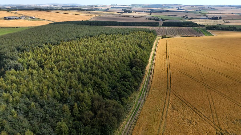 Land for saleAuchnagatt AB41