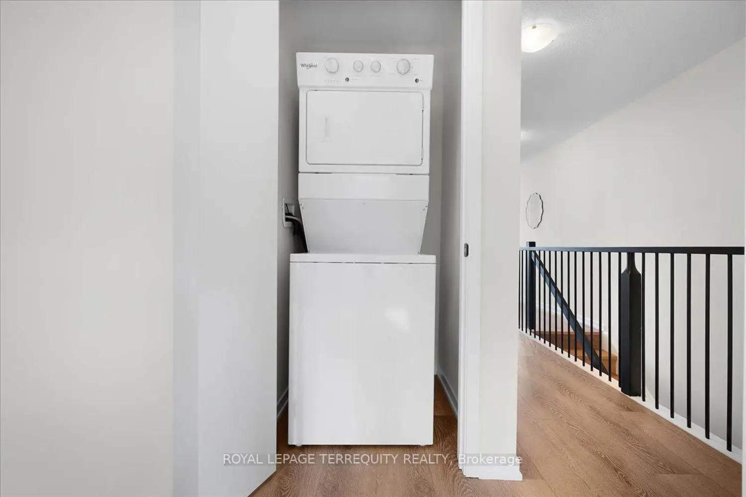 Additional image 15 of 38 Kingbird Common