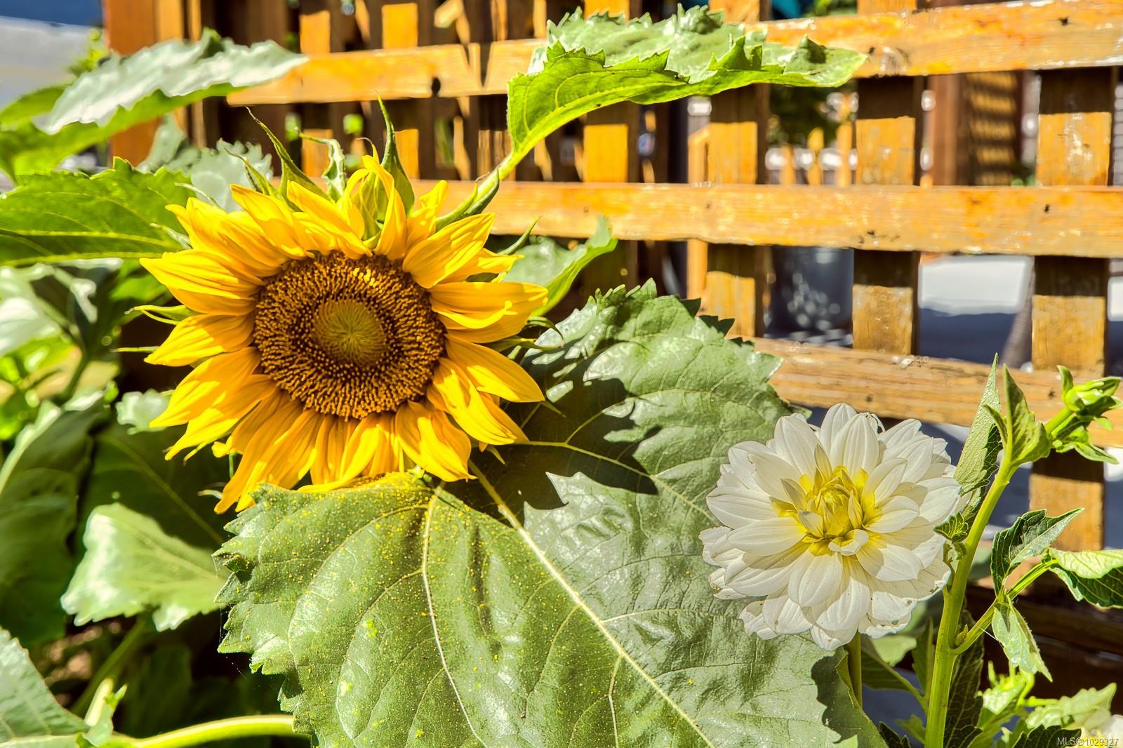 Additional image 4 of 2517 Rosstown Road, Nanaimo, BC, V9T 3R9