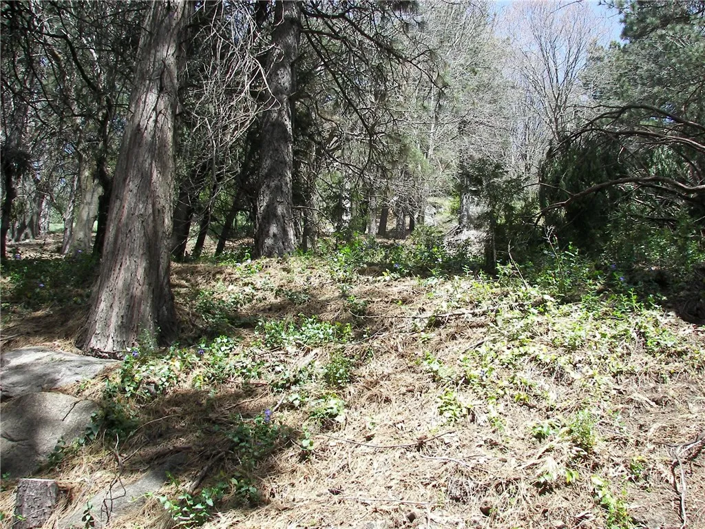 Additional image 67 of 21636 Sawpit Canyon Rd, Cedarpines Park, CA 92322