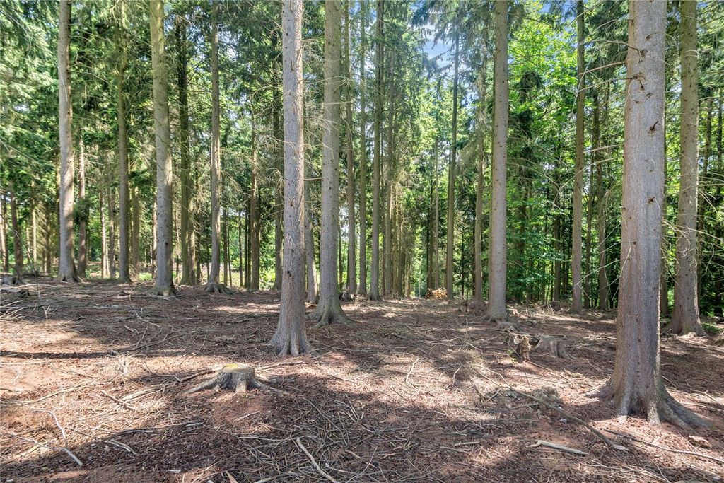 Additional image 7 of Land for saleBroad Lane, Upper Bucklebury, Reading, Berkshire RG7