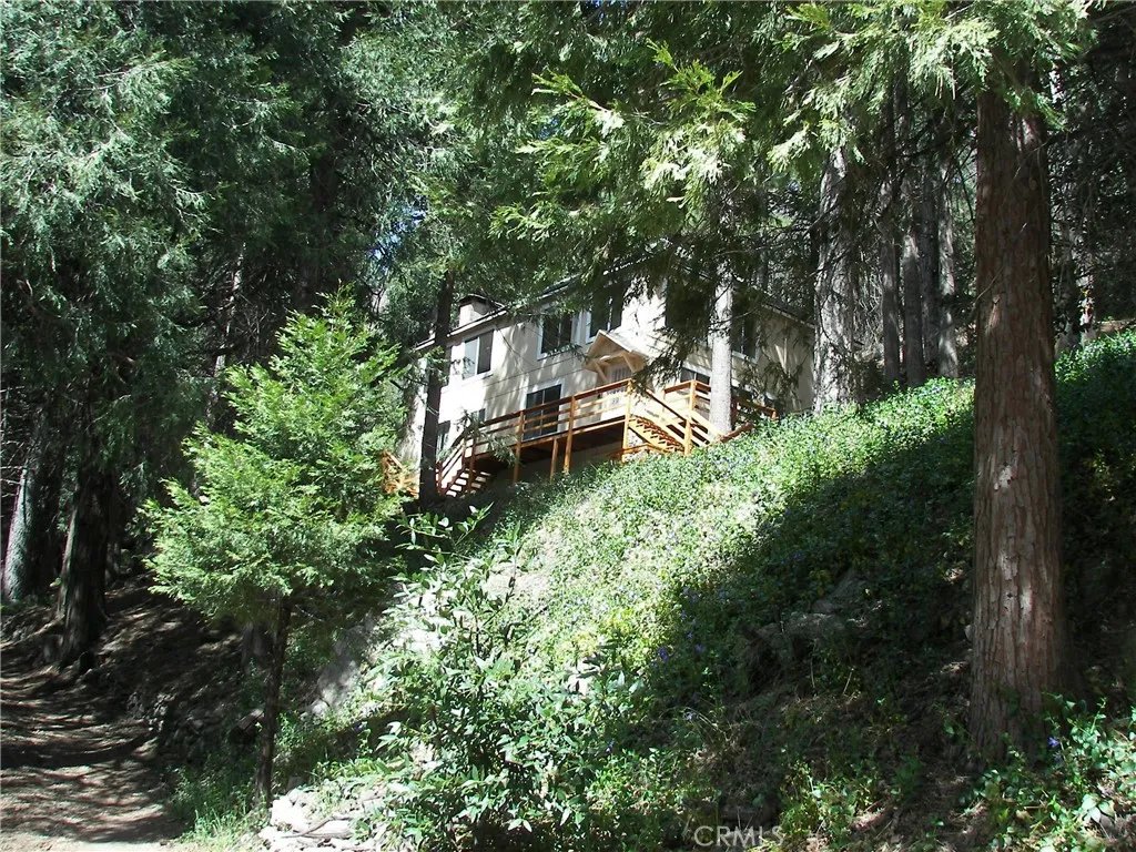 Additional image 124 of 21636 Sawpit Canyon Rd, Cedarpines Park, CA 92322