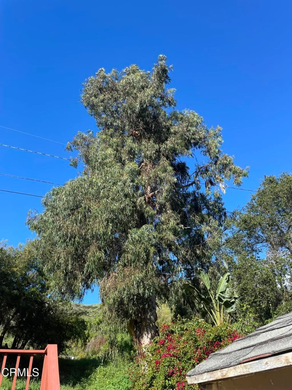 2371 Foster Avenue, Ventura, CA 93001