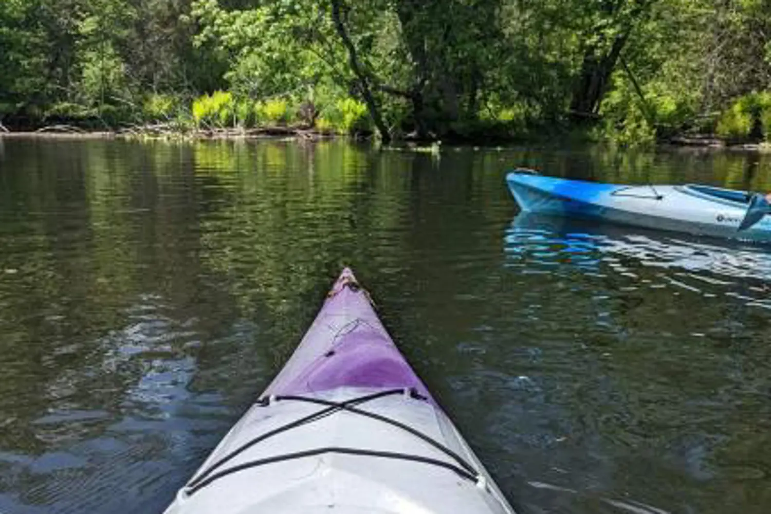 Additional image 6 of 21259 Hwy 62 Highway