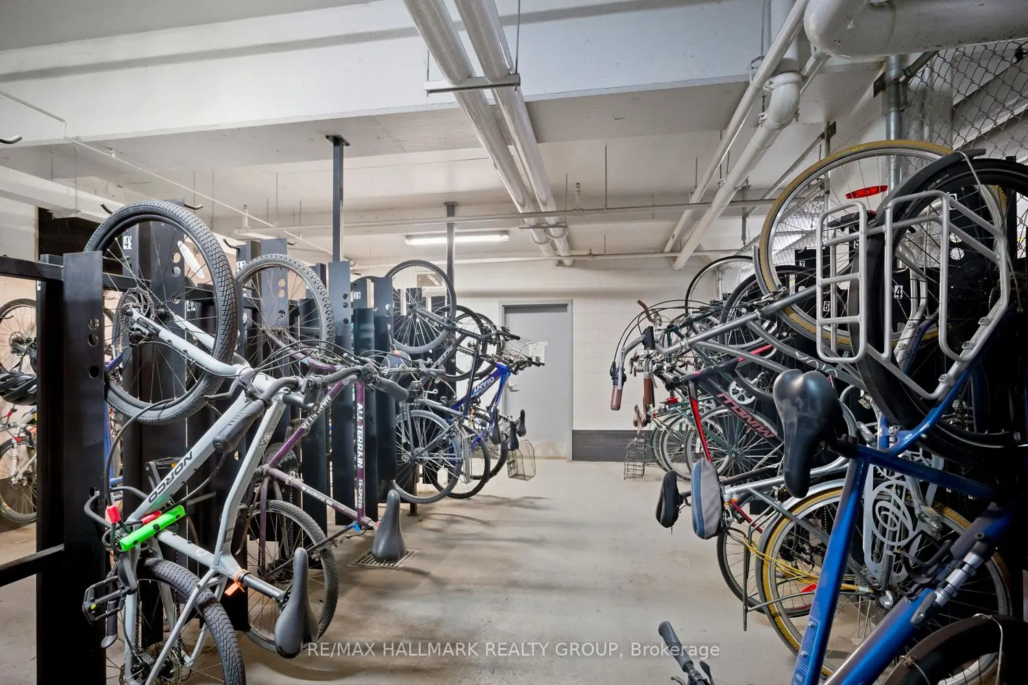 Additional image 16 of 340 Mcleod Street 645