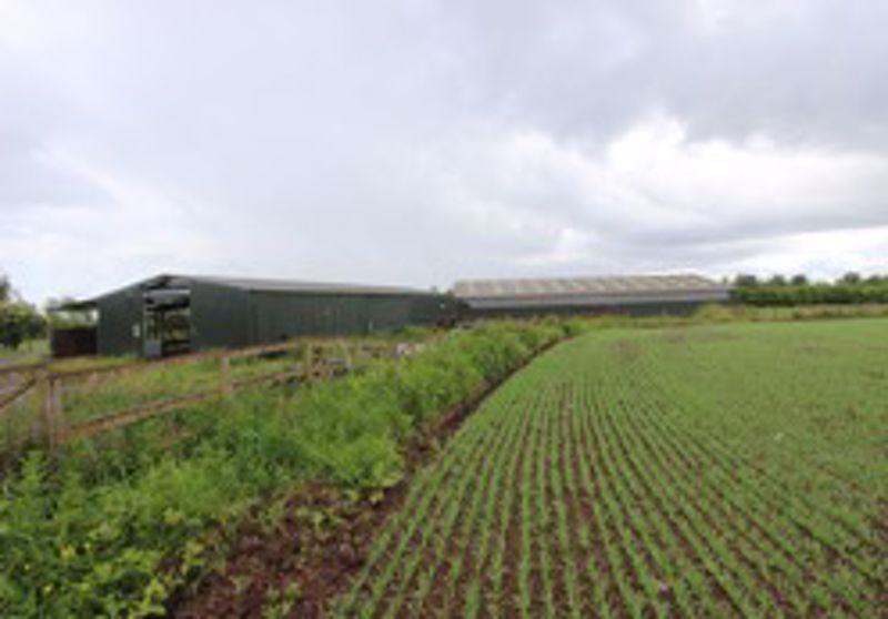 Additional image 4 of Property for saleMuirdrum, Carnoustie DD7