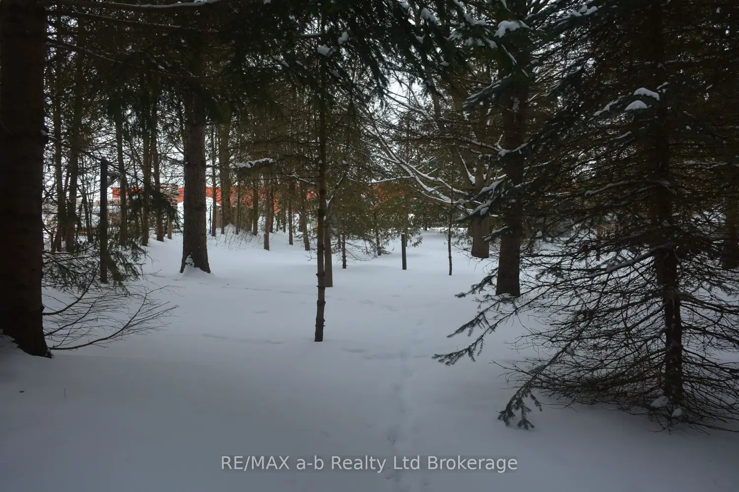 Additional image 7 of 146 Whiting Street