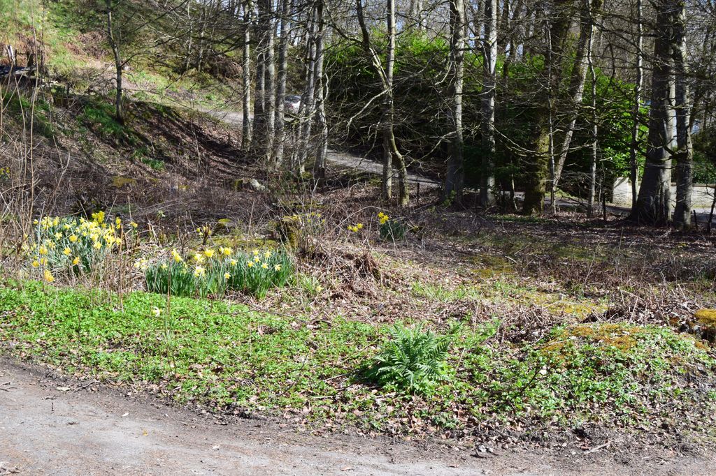 Land for salePlot Of Land, Bridge Of Cally, Blairgowrie PH10