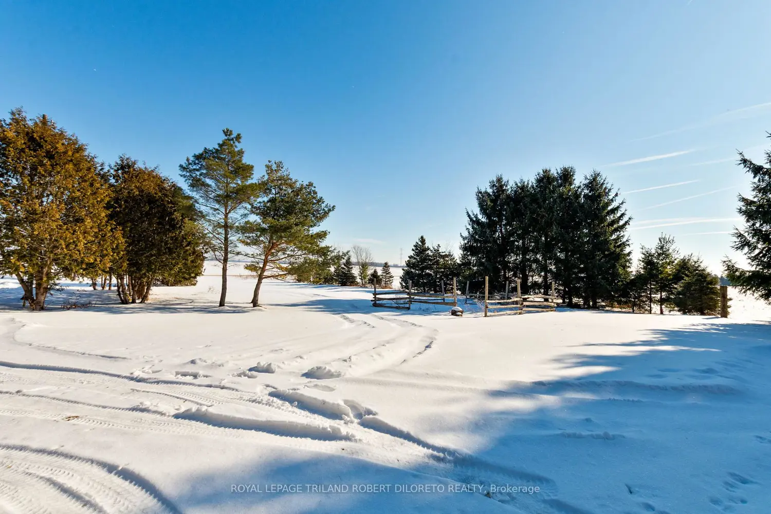 Additional image 12 of 21477 Springfield Road