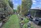 Additional image 24 of Bromford Road, Hodge Hill, Birmingham, B36