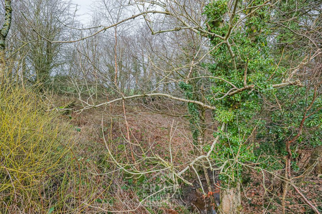 Additional image 4 of Land for salePlot B6, Castle Estate, Coylton, Ayr KA6