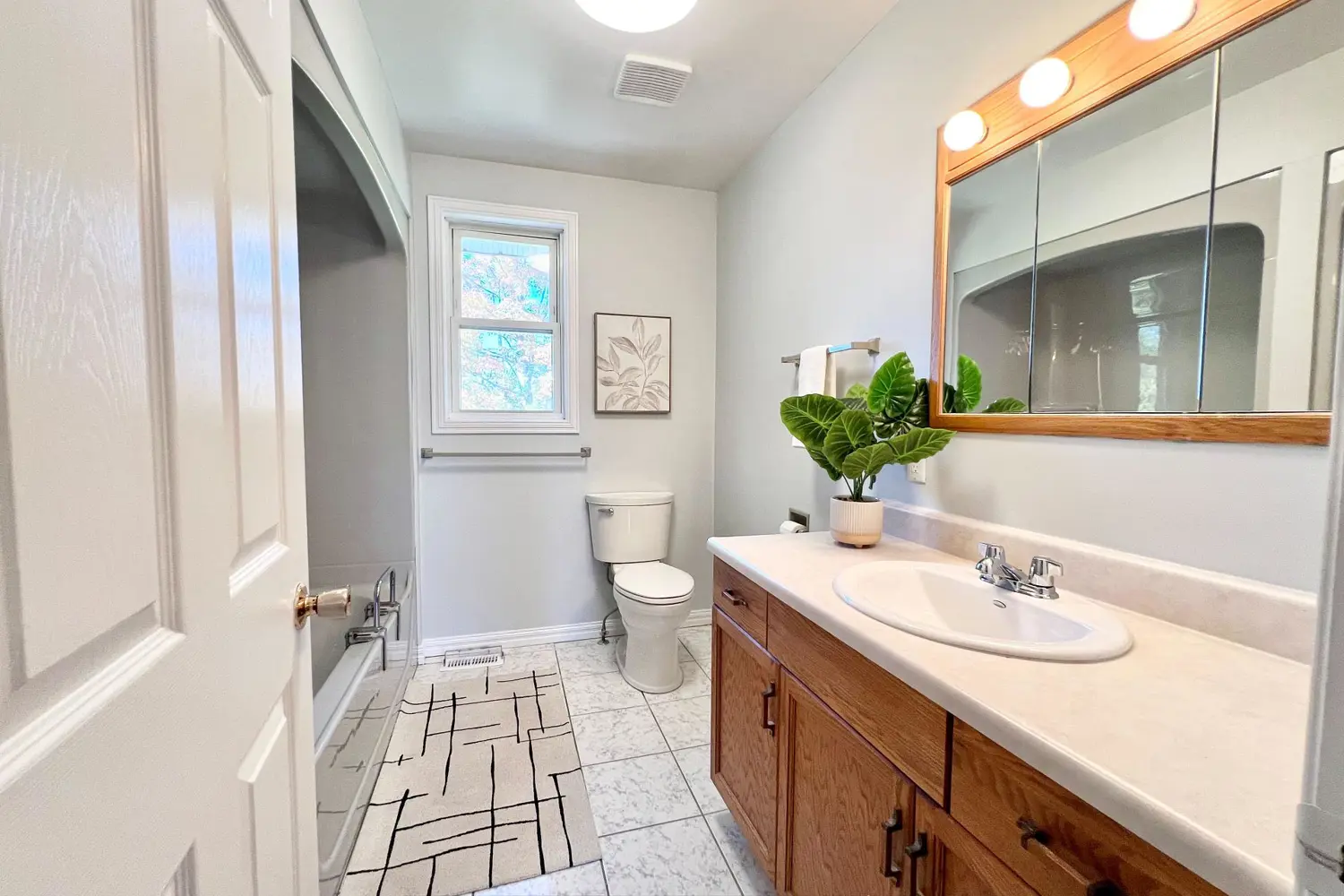 Additional image 11 of 444 County Road 19