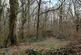 Additional image 18 of Callow, Hereford HR2