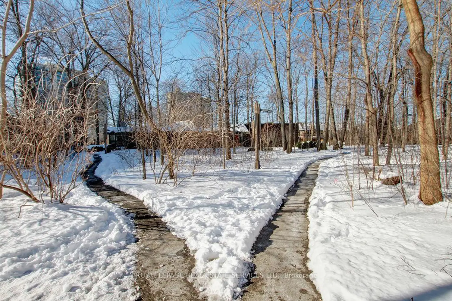 Additional image 20 of 1110 Walden Circle 410