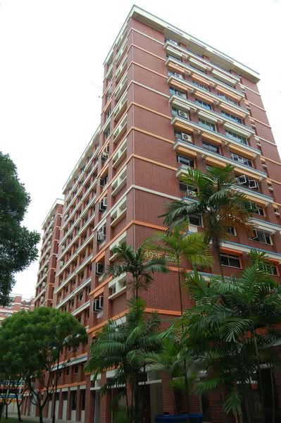 Additional image 7 of 493E Tampines Street 43