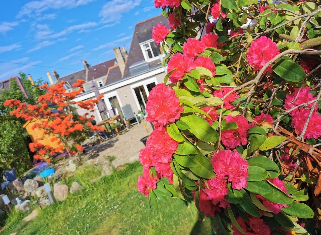 Additional image 41 of Camperdown Road, Aberdeen, AB15