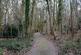 Additional image 3 of Callow, Hereford HR2