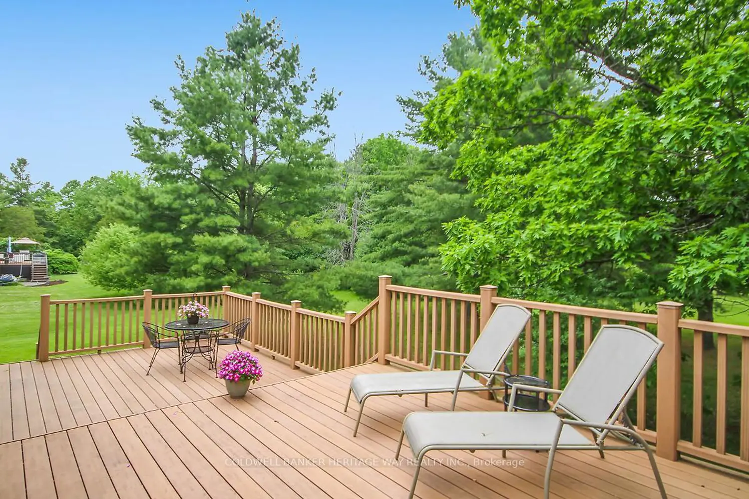 Additional image 18 of 222 North Road