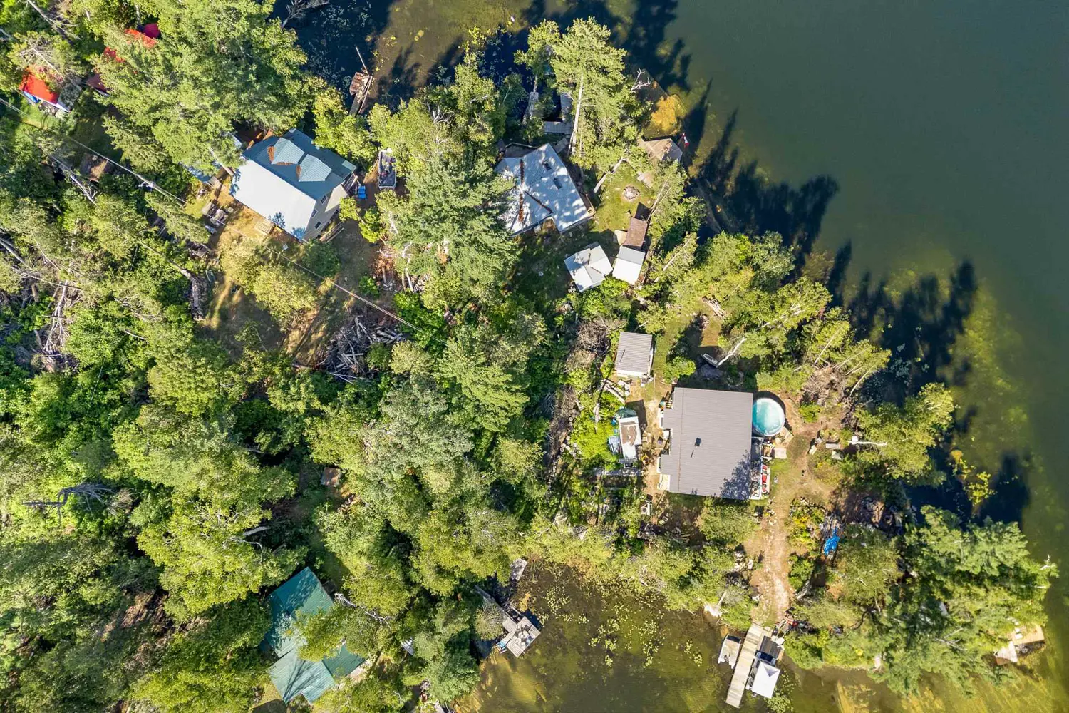Additional image 18 of 5 Water-Gunter Lk