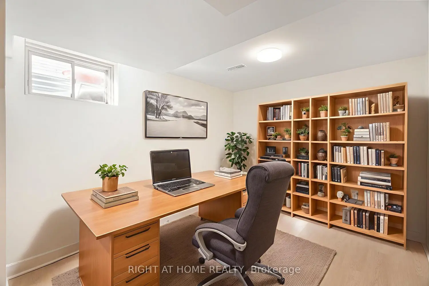 Additional image 18 of 254 Maude Street