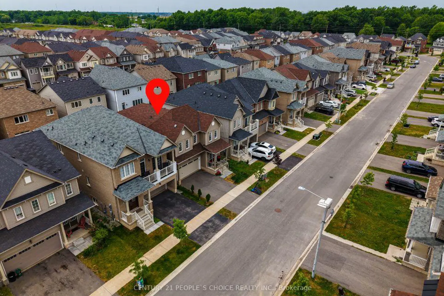 Additional image 15 of 8670 Chickory Trail