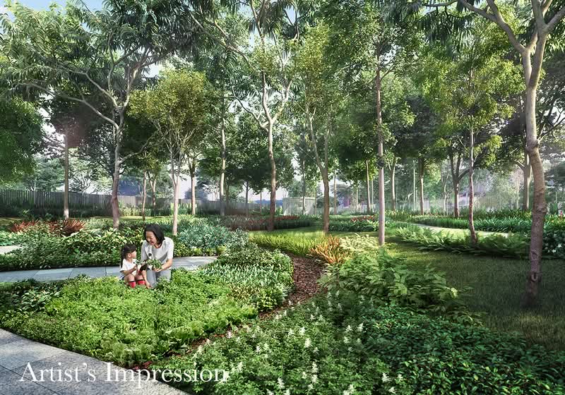 Additional image 12 of 7 Serangoon North View