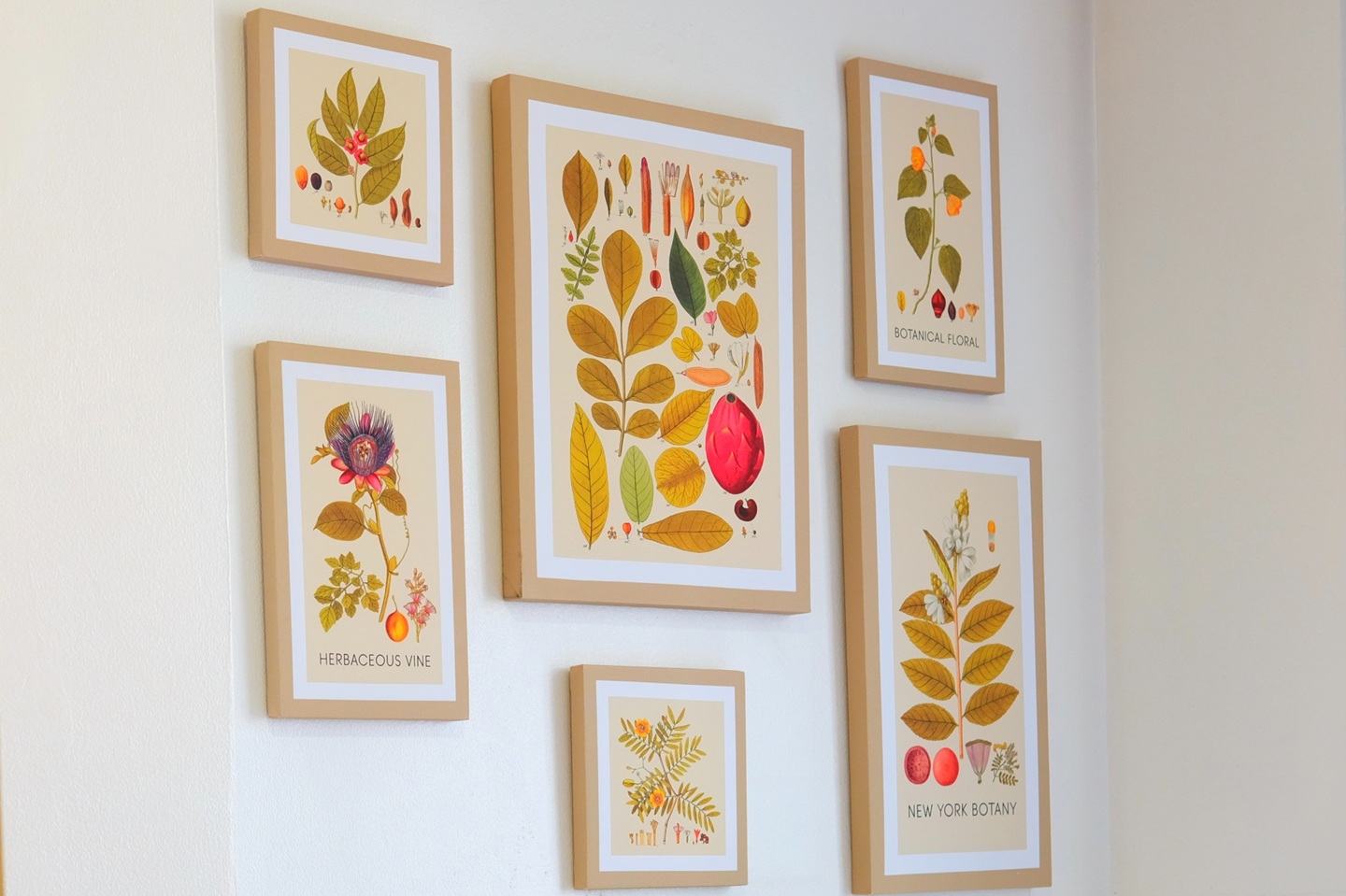 Additional image 63 of 1 Bed Flat, Westbourne Gardens, W2, N1 7GU