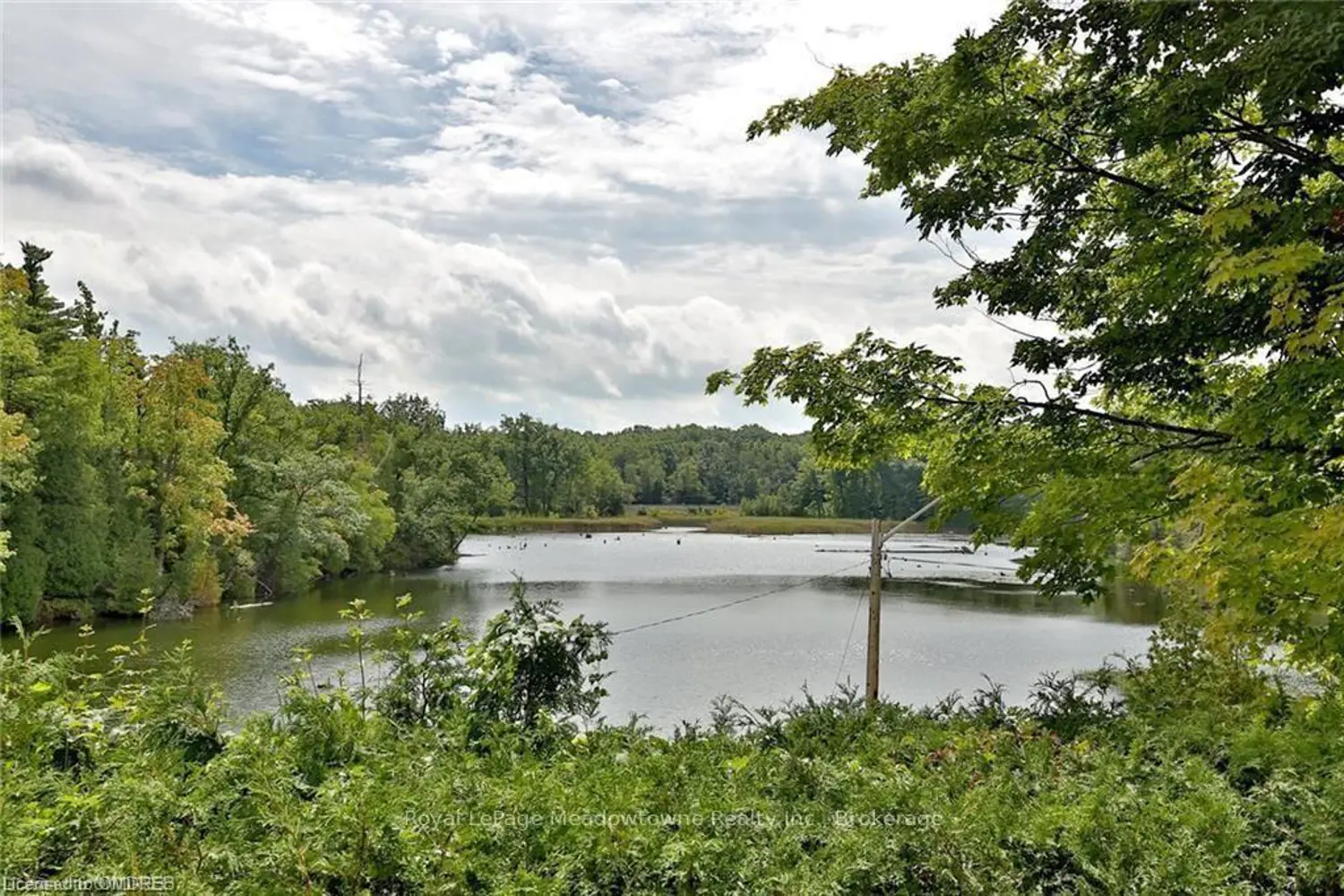 Additional image 19 of 225/269 Campbell Avenue