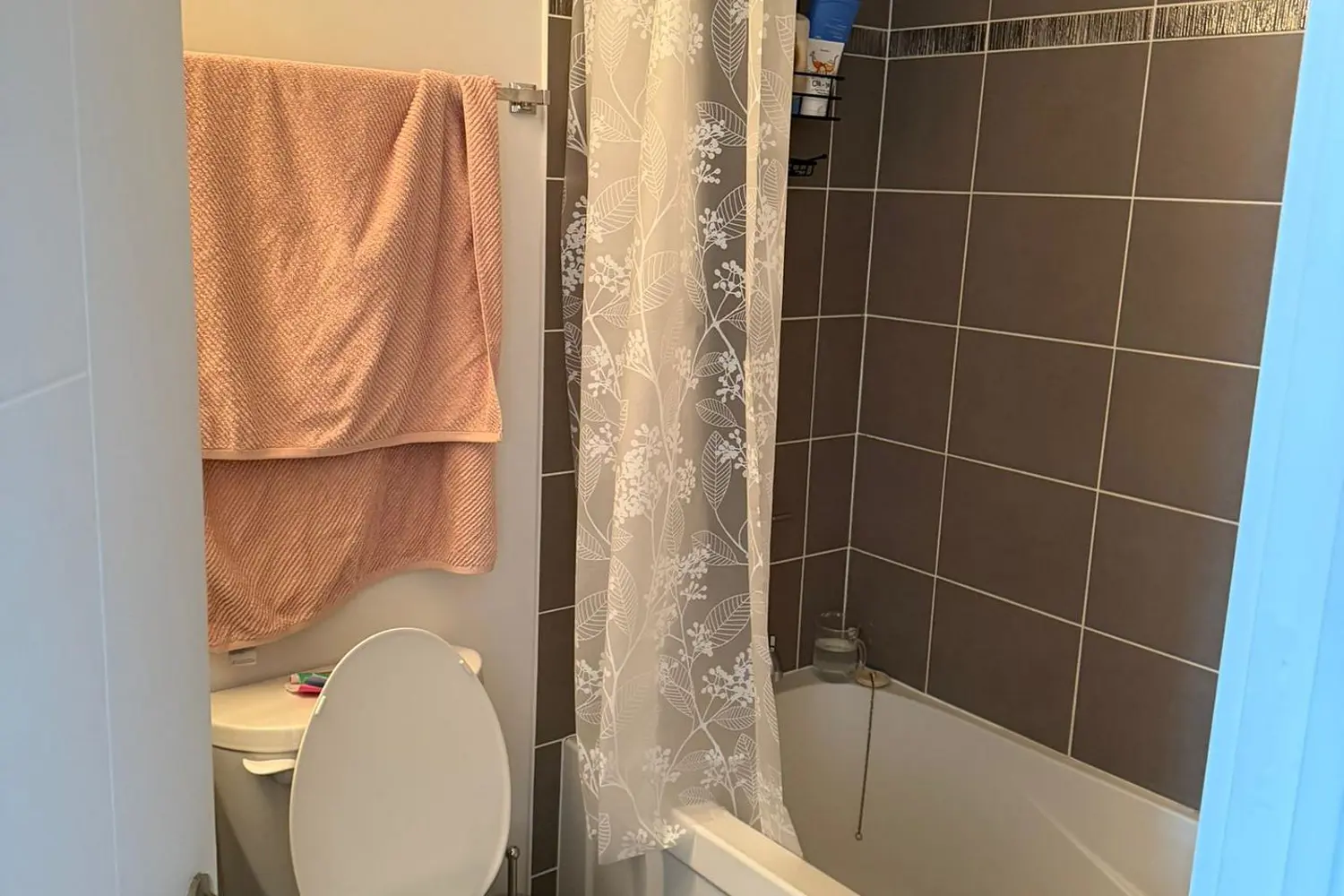 Additional image 4 of 179 Metcalfe Street 2010