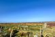 Additional image 32 of Borve HS2