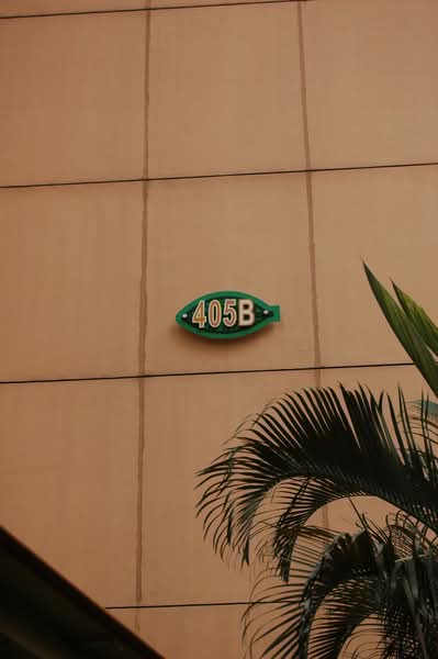 Additional image 11 of 405B Fernvale Lane