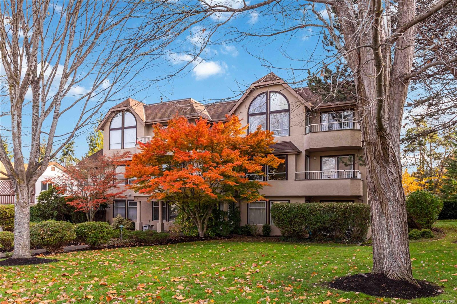 Additional image 3 of 104-3263 Alder Street, Victoria, BC, V8X 1P3