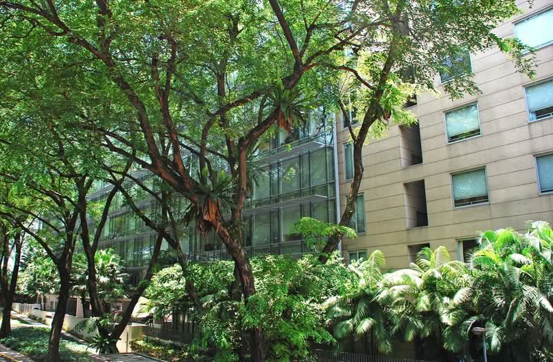 Additional image 11 of 26 Paterson Road
