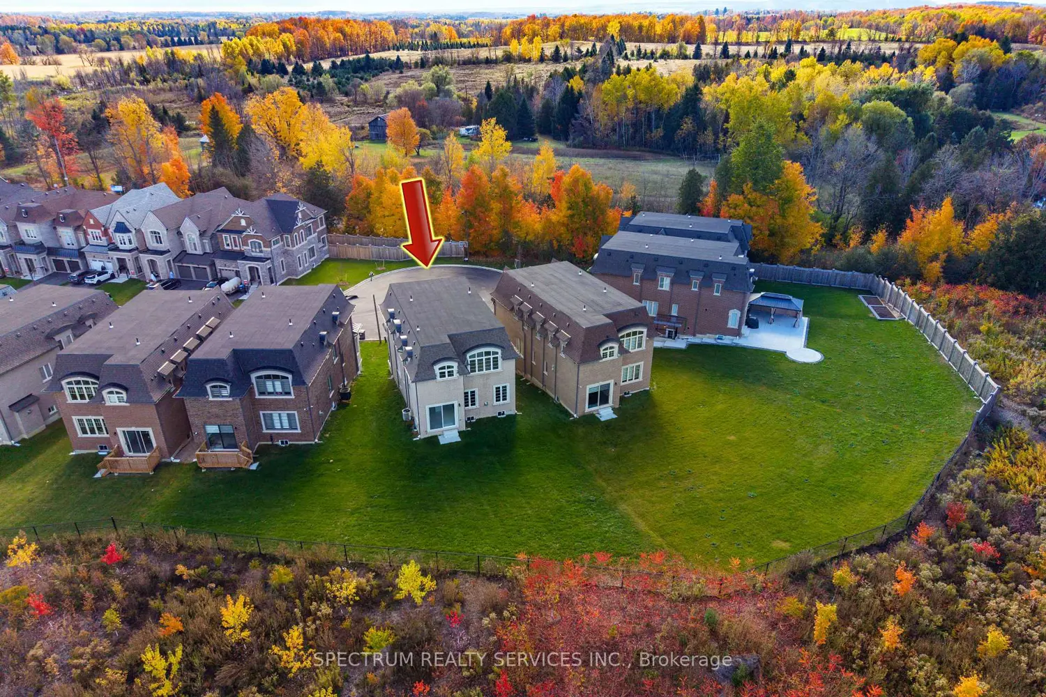 Additional image 17 of 19 Swamp Sparrow Court