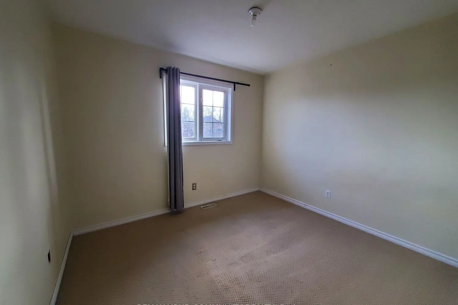 Additional image 17 of 156 Loon Avenue